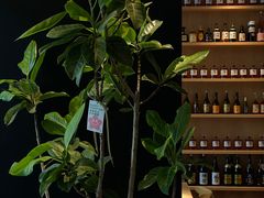 -酉品食厅·居酒小食堂(无锡蠡湖科研大厦店)
