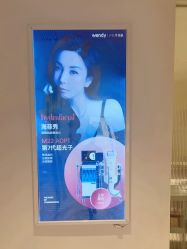 -WENDY·温迪皮肤管理