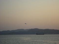 -华侨公园