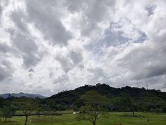 -风云岭森林公园
