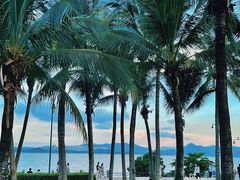 -深圳湾公园(南山区)