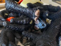 山椒凤爪-太婆天府山珍酒楼(亚运村店)