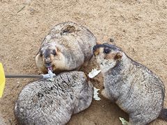 -茅山东方盐湖城景区