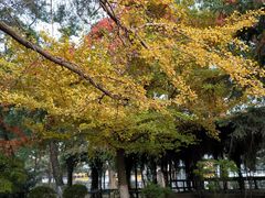 -辽宁大学(崇山校区)