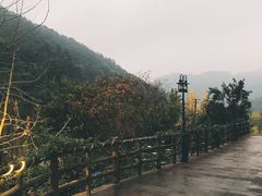 -楠柏弯休闲山庄(梨花溪店)