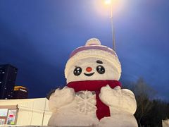-沈阳奥体冰雪嘉年华