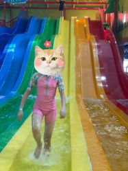 -宝燕乐园(闵行旗舰店)