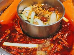 -蜀九香火锅(九眼桥店)