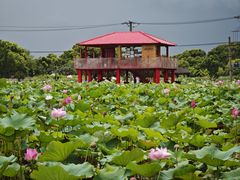 -嘉北郊野公园