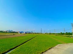 -低涌(地铁站)