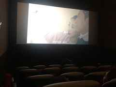 -上海金逸影城(静安大悦城店（原新恒星影城）)