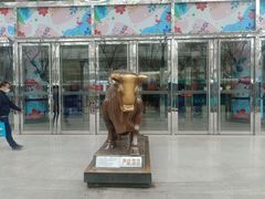 -民生百货(五路口店)