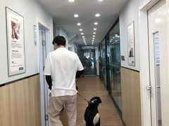 -瑞派紫金宠物医院24小时·骨科·中兽医·重症转诊中心(番禺大石院)