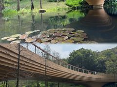 -云溪植物园