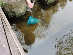 -重庆彩云湖湿地公园