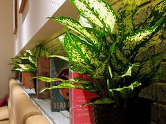 -丹江渔村(望京店)