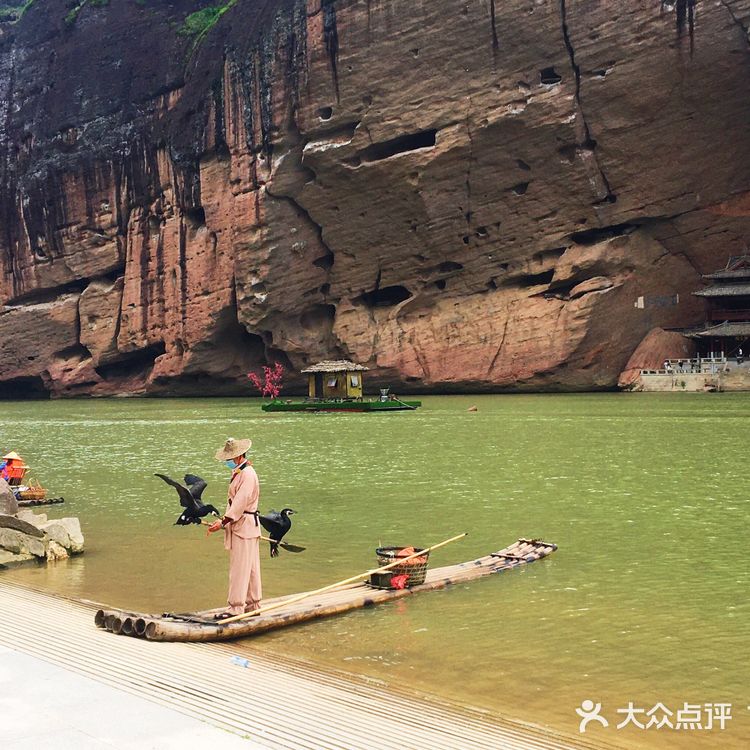 令我惊喜的是第一次看到开在悬崖边上的野百合