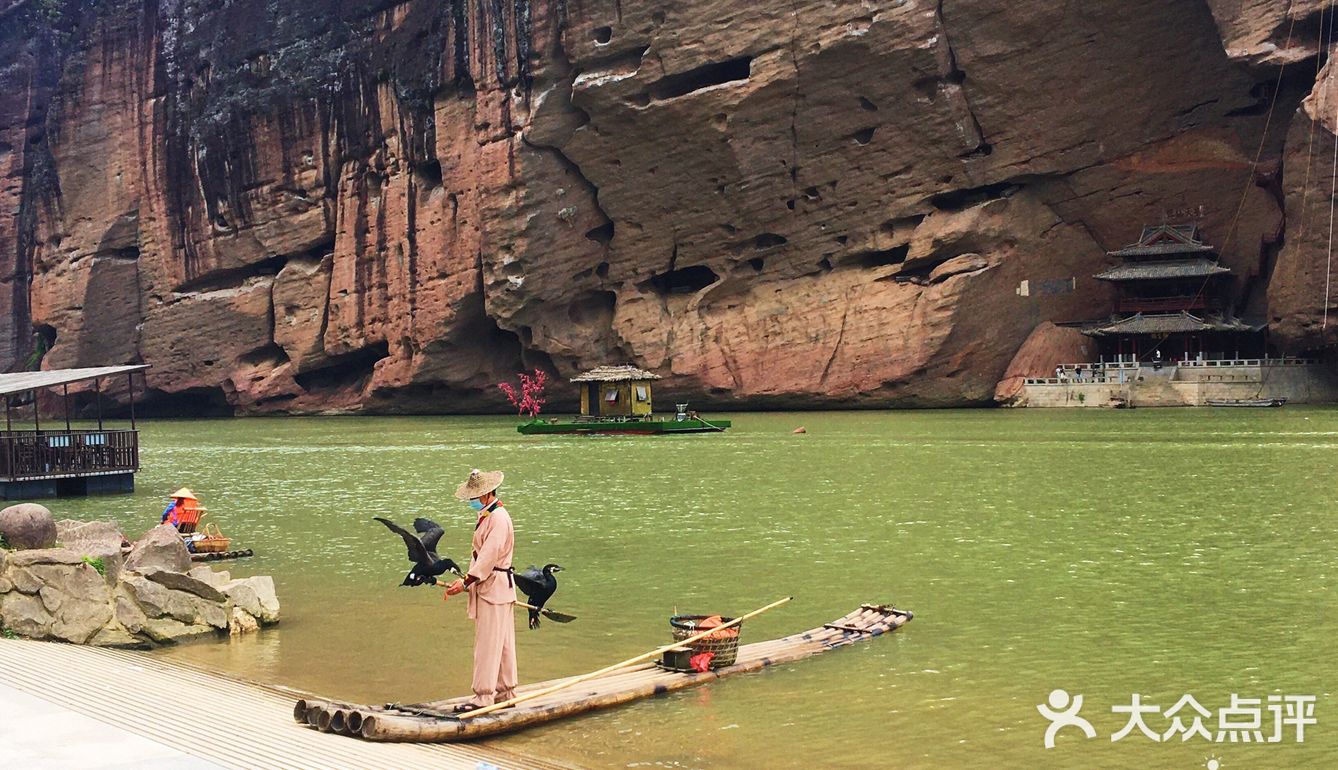 令我惊喜的是第一次看到开在悬崖边上的野百合