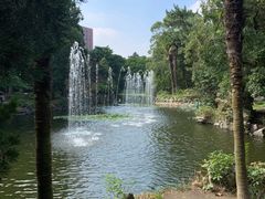 -叶家花园