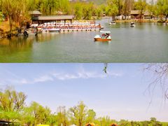 -承德避暑山庄景区