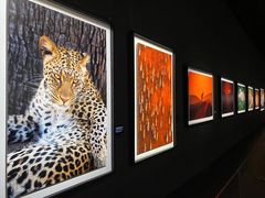 -罗红摄影艺术馆