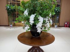 -全聚德(上海首店浦东店)