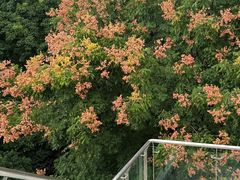 -武汉荟聚