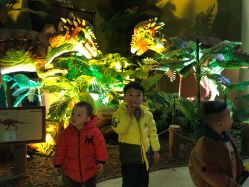 -恐龙探索乐园(磁器口店)