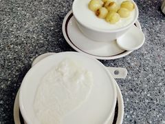 -义顺牛奶公司(新马路老店)