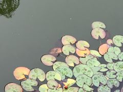 -榆次老城