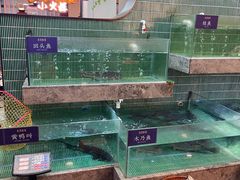 -鱼你相聚·河鲜馆(袁家岭店)