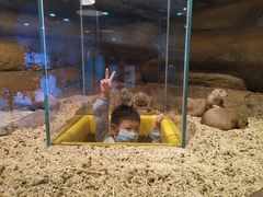 -Mr·Kuma酷么先生雪之乐园