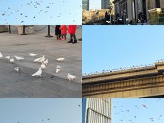 -河北博物院
