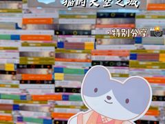 -猫的天空之城概念书店(大学路店)