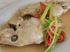 -老三鱼仔店