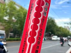 -和禄德冰糖葫芦