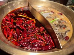 -小龙坎火锅(春熙太古里店)