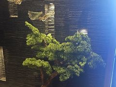-上足·影院足道·SPA(红岭店)