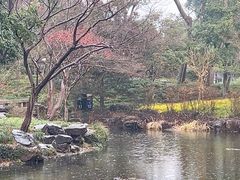 -秋霞圃