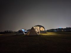 -春花秋色城市公园