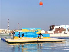 -秦皇岛乐岛海洋王国