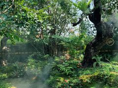 -Chom Cafe and Restaurant