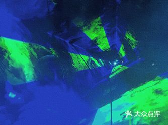 免费的野迪你确定不来蹦一下？！