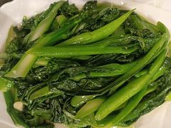-金龙寨(龙城路店)