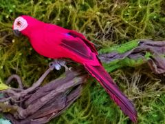 -渔掌门(铁东店)