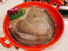 清油毛肚-二荆条·蜀鲜汇城市森林火锅
