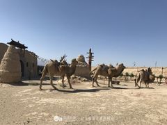 -镇北堡西部影城