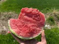 -江杨农产品批发市场