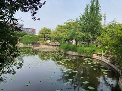 -嘉定紫藤园