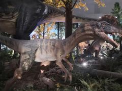 -湖南省地质博物馆